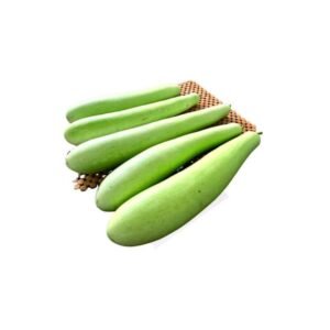 bottle gourd (लौकी)